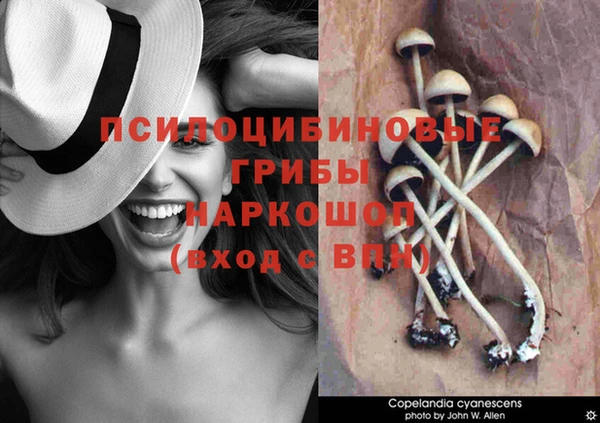 крисы Арсеньев