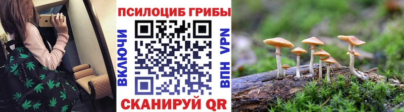 как найти закладки  Спас-Деменск  гидра ТОР  Псилоцибиновые грибы Psilocybine cubensis 